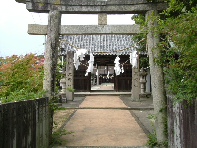 k10_151.jpg
