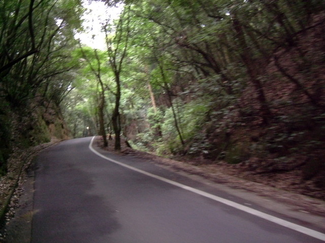 k10_156.jpg