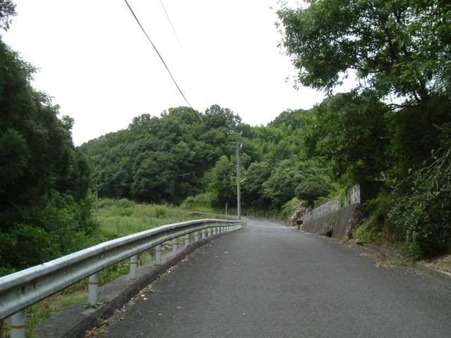 k10_159.jpg