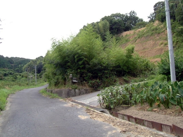 k10_160.jpg