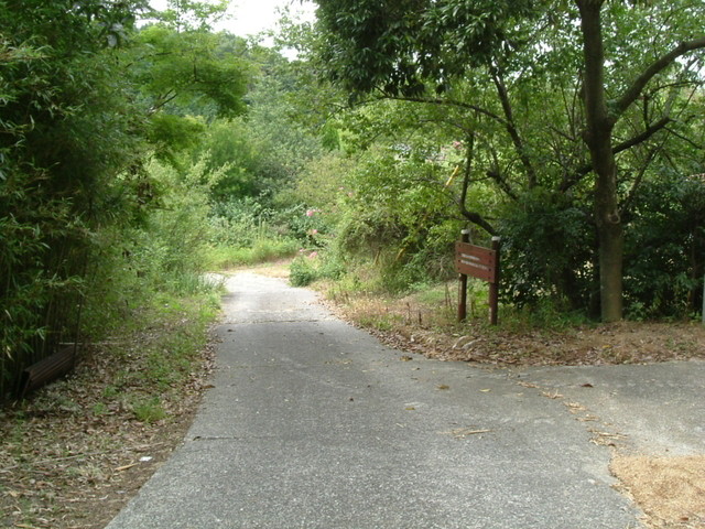 k10_161.jpg