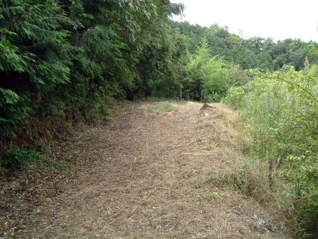 k10_162.jpg