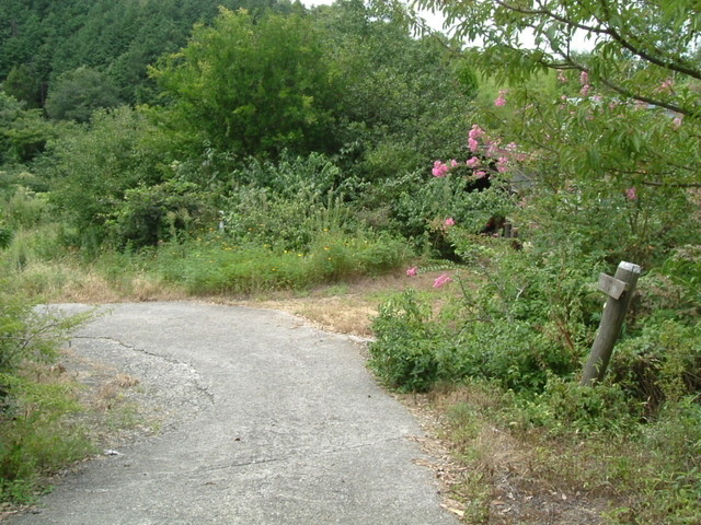 k10_163.jpg