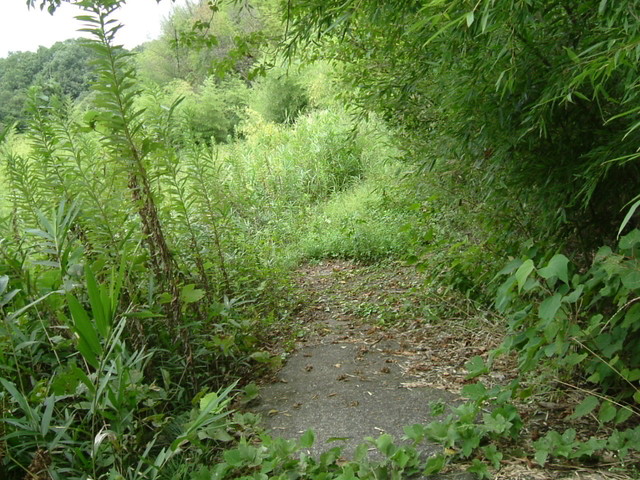 k10_164.jpg