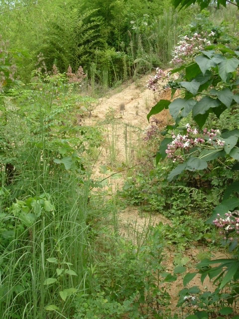 k10_165.jpg