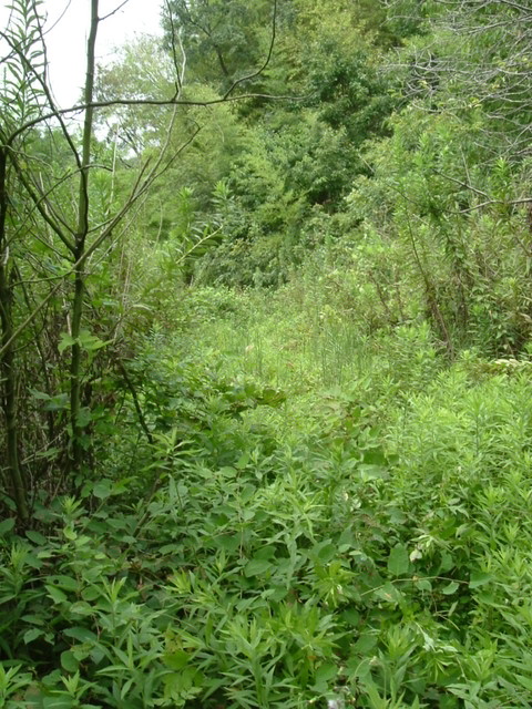 k10_166.jpg