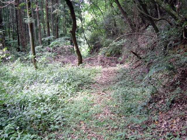 k10_167.jpg