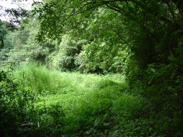 k10_168.jpg