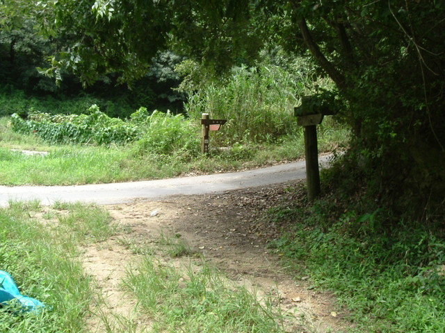k10_169.jpg
