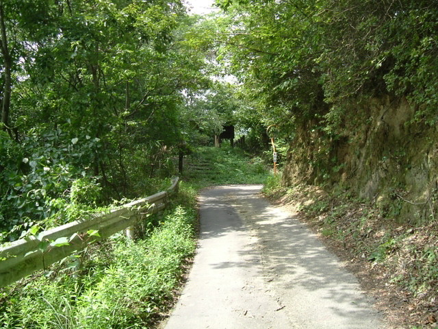 k10_170.jpg