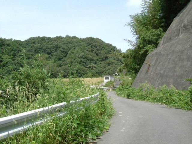 k10_172.jpg