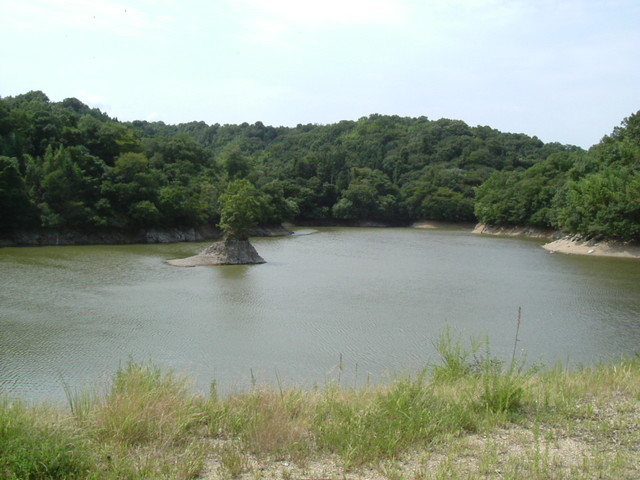 k10_173.jpg