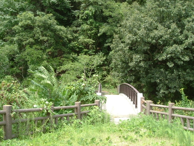 k10_175.jpg