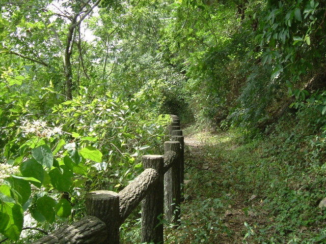k10_176.jpg