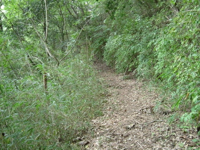 k10_177.jpg