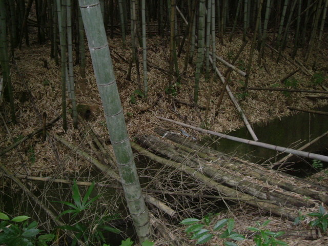 k10_179.jpg