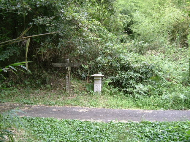 k10_180.jpg