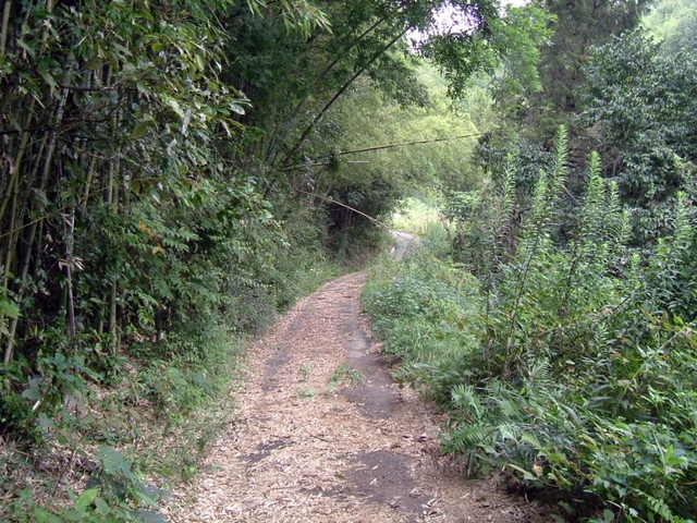 k10_181.jpg