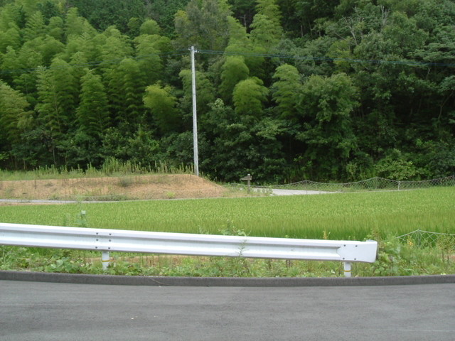 k10_182.jpg