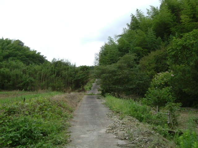 k10_184.jpg