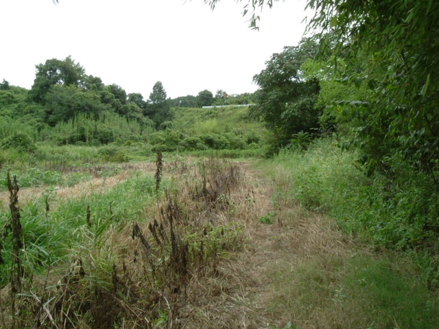 k10_186.jpg