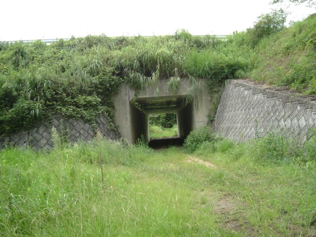 k10_187.jpg