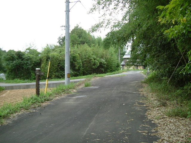 k10_190.jpg