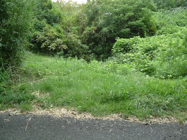k10_192.jpg