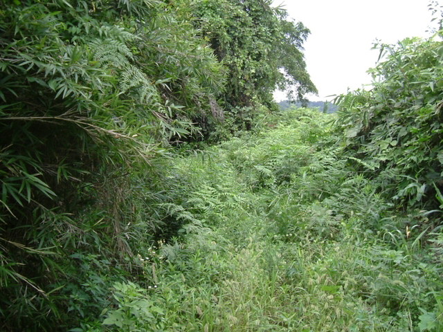 k10_193.jpg