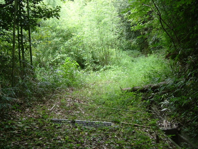 k10_194.jpg
