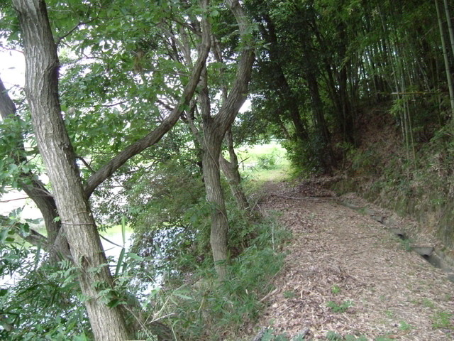 k10_195.jpg