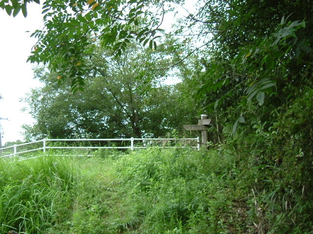 k10_196.jpg