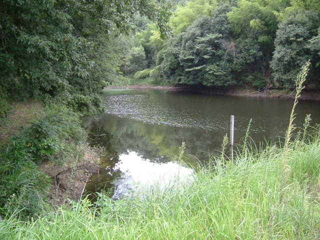 k10_197.jpg