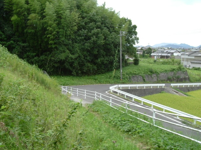 k10_198.jpg