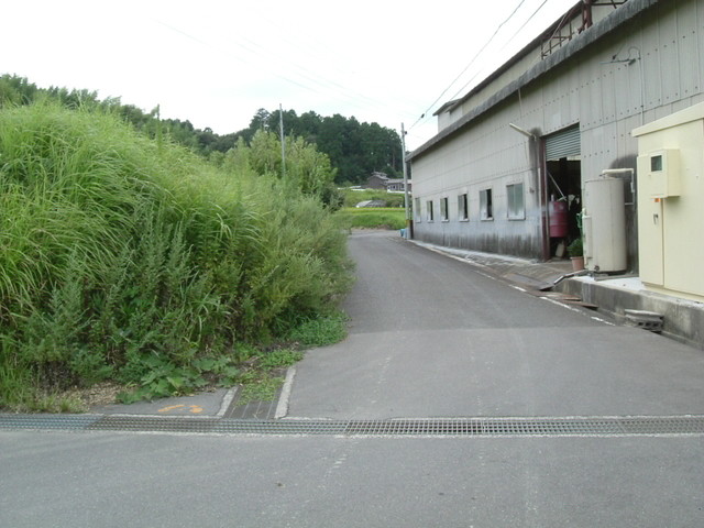 k10_200.jpg