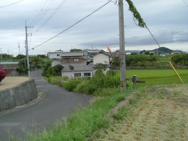k10_202.jpg