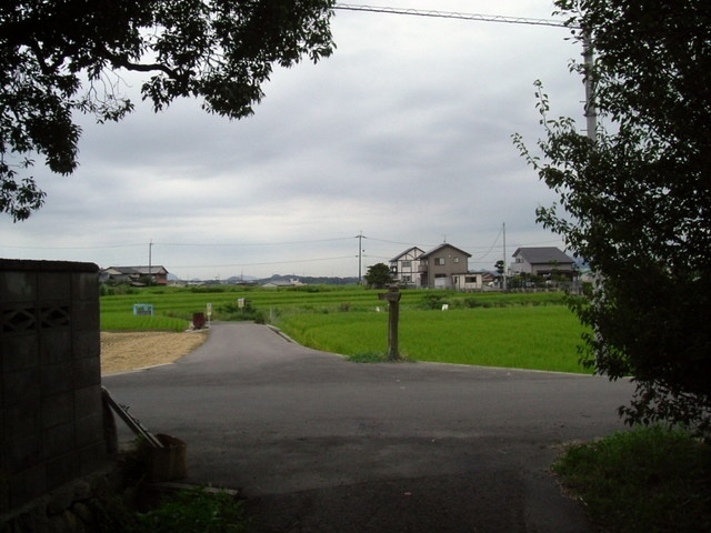 k10_210.jpg