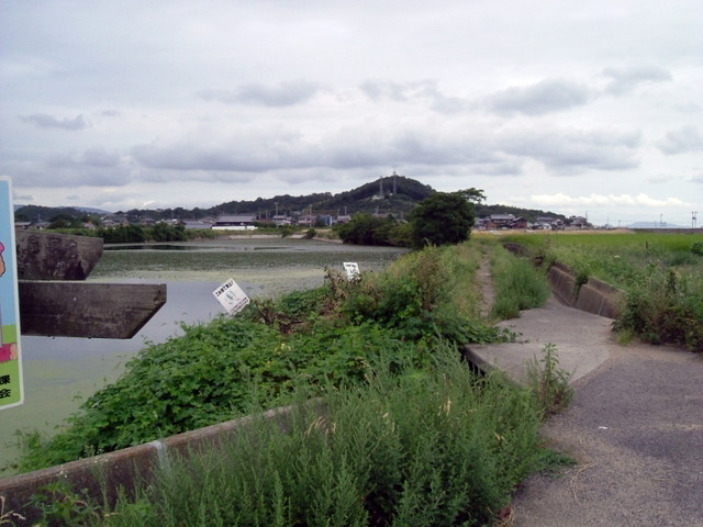 k10_211.jpg