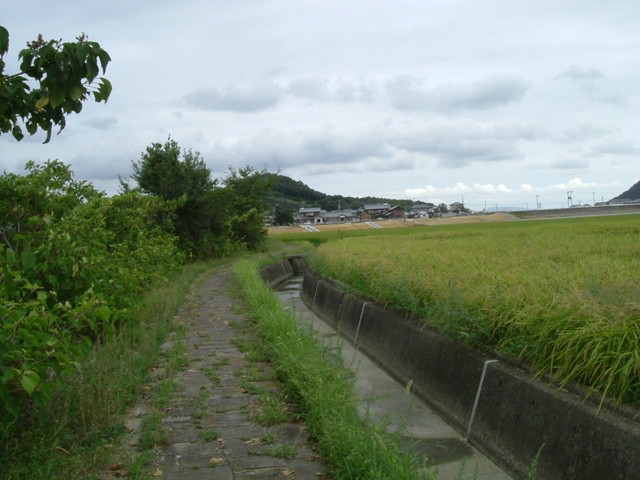 k10_212.jpg