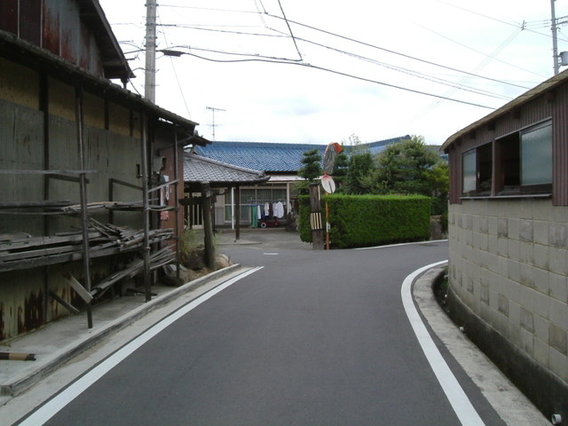 k10_219.jpg
