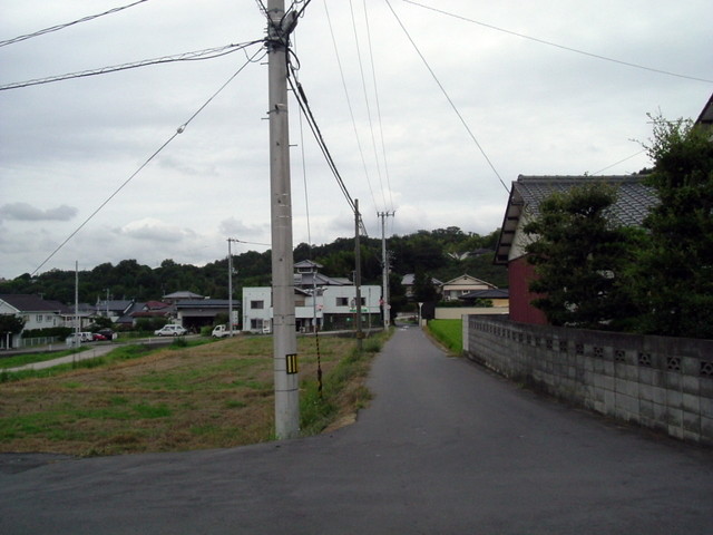 k10_220.jpg