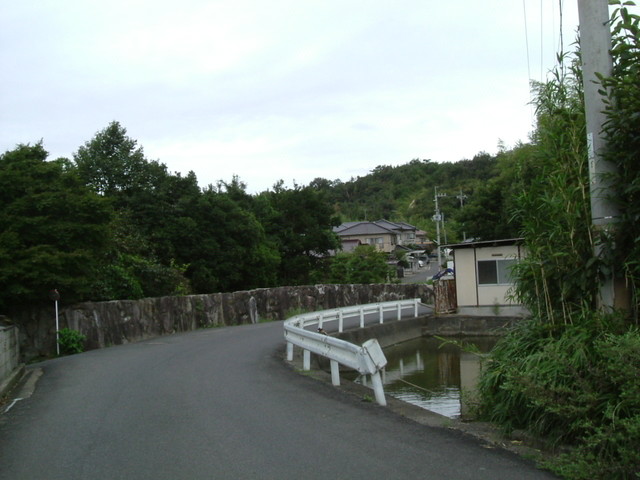 k10_223.jpg
