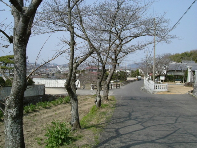 k10_225.jpg