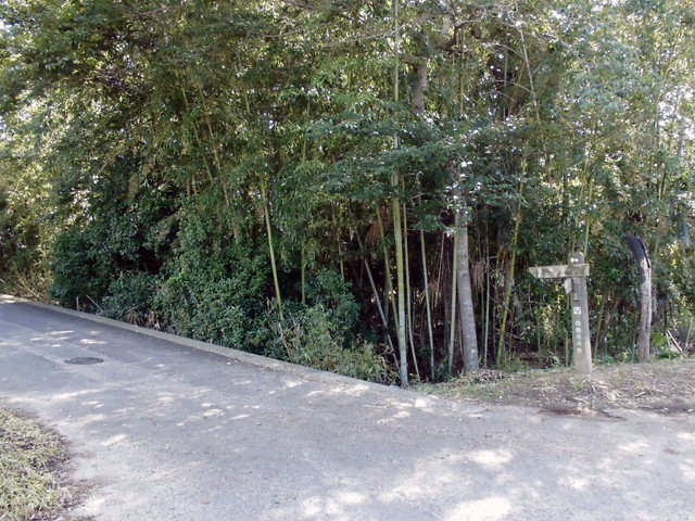 k11_13.jpg