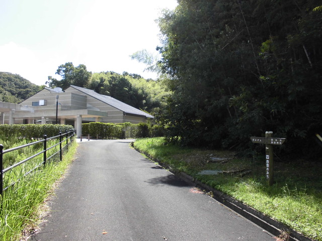 k11_31.jpg
