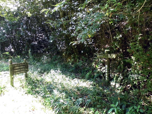 k11_33.jpg