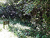 k11_33_thumb.png