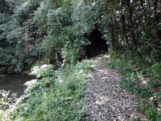 k11_34.jpg
