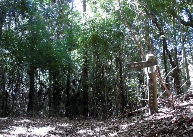 k11_35.jpg