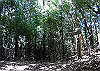 k11_35_thumb.png